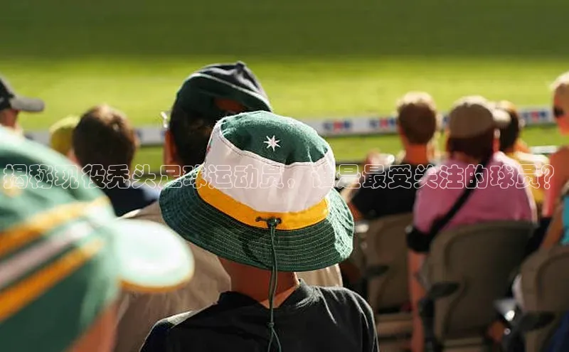 新宝gg开户登录极氪智能科技揭秘现役秃头足球运动员，谁是最受关注的球员？