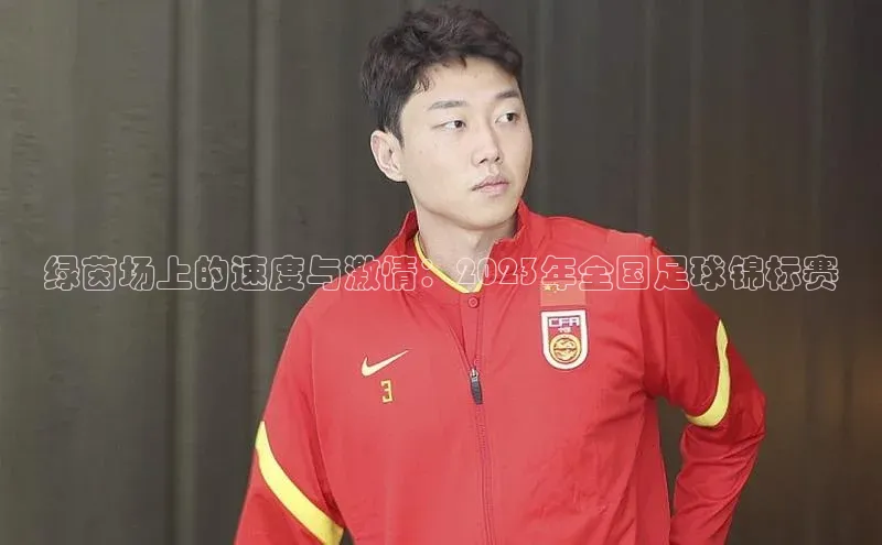 新宝gg开户登录极氪智能科技绿茵场上的速度与激情：2023年全国足球锦标赛