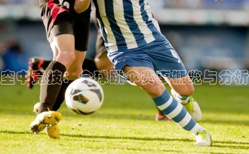 新宝gg开户登录百度识图空中竞技：全球跳伞赛事概览与分析