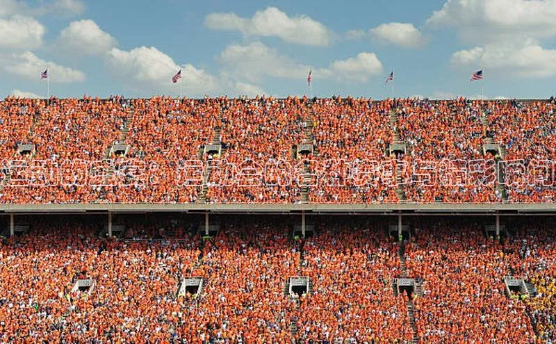 新宝gg官网登录地址百度健康运动的盛宴：运动会的各种赛事与精彩瞬间