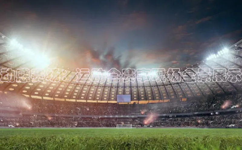 动感赛场：运动会赛事现场全景展示