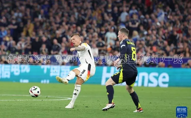 飙速盛宴：2023年度最火爆运动赛事一览