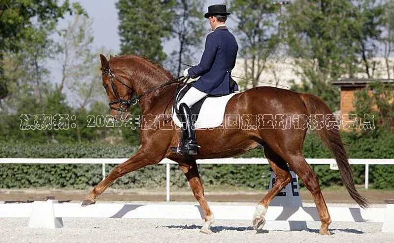 旗飘扬：2023年度世界竖挂国旗运动锦标赛亮点