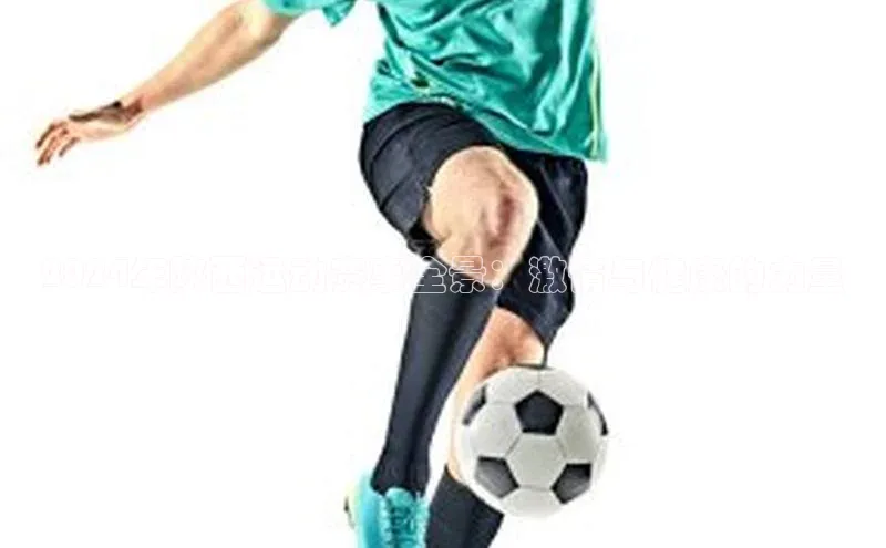 2024年陕西运动赛事全景：激情与健康的力量