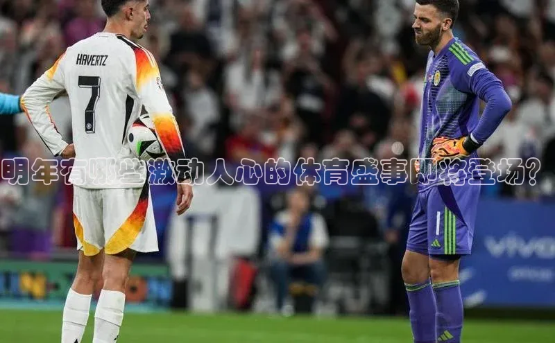 明年有哪些激动人心的体育盛事即将登场？