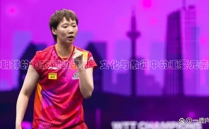 朝鲜的国家运动旗帜：文化与象征中的重要元素