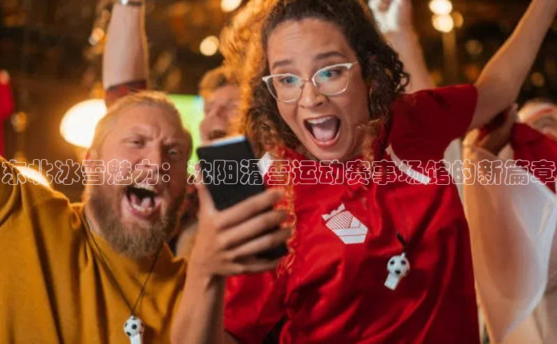 东北冰雪魅力：沈阳滑雪运动赛事场馆的新篇章